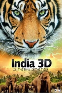 India On The Trail Of The Tiger 3D (2013) India On The Trail Of The Tiger 3D (2013)