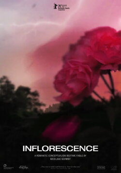 Inflorescence (2020)