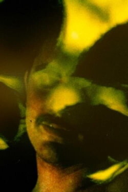 Ingreen (1964)