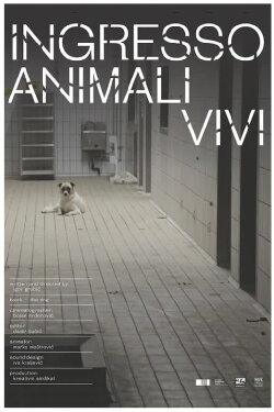 Ingresso animali vivi (2023)