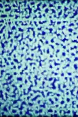 Inkjet 3056A (2015) Inkjet 3056A (2015)