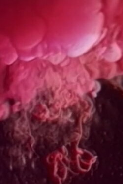 Inner Fire Part 1: Gangrene (1991) Inner Fire Part 1: Gangrene (1991)