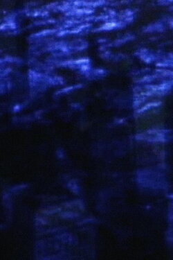 Innocence and Despair (2002)