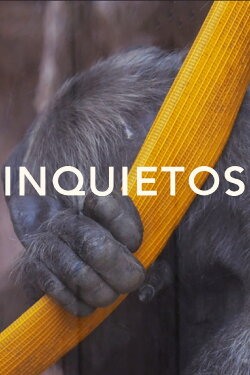 Inquietos (2020) Inquietos (2020)