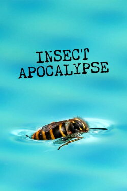 Insect Apocalypse (2019) Insect Apocalypse (2019)