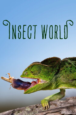Insect World (2017) Insect World (2017)