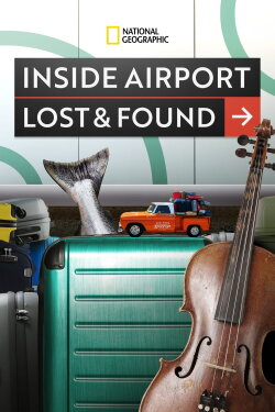 Inside Airport Lost & Found (2022) Inside Airport Lost & Found (2022)