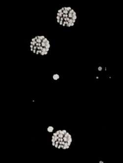 Inside The Atom (1948)