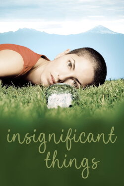 Insignificant Things (2008) Insignificant Things (2008)