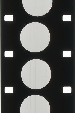 Insomnia (1981)