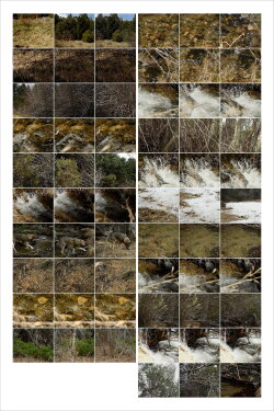 Interactions 3: Forest and Stream (2023)