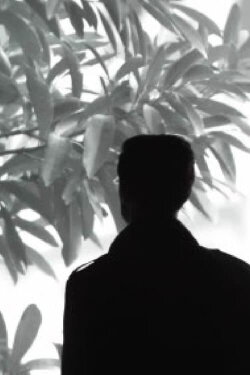 Intercourses (2013)
