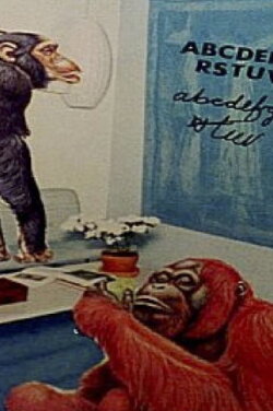 Interior Ape (2004) Interior Ape (2004)