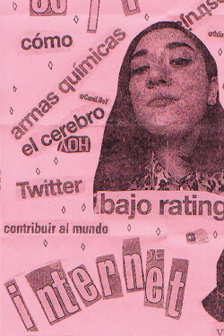 Internet (2013)