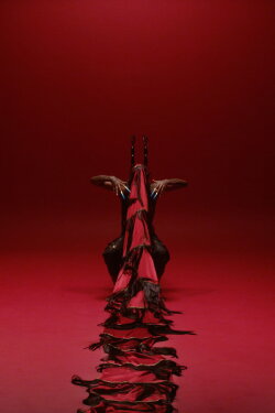 Interstice (2016)