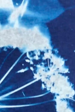 Into the Blue (2021) Into the Blue (2021)