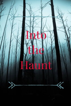 Into the Haunt (2020) Into the Haunt (2020)