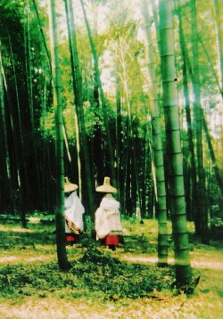 Into the Picture Scroll: The Tale of Yamanaka Tokiwa (2004)