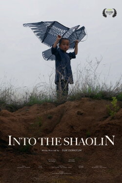 Into the Shaolin (2023)
