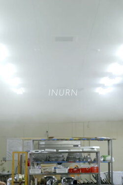 INURN (2017)