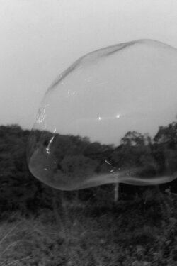 Inventário das Pequenas Mortes (Sopro) (2000) Inventário das Pequenas Mortes (Sopro) (2000)