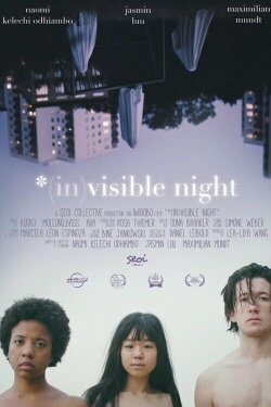 *(In)Visible Night (2023) *(In)Visible Night (2023)