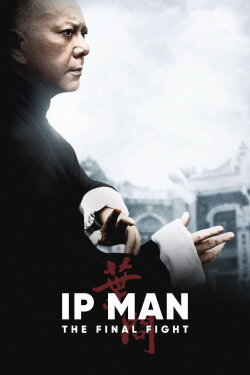 Ip Man: The Final Fight (2013) Ip Man: The Final Fight (2013)
