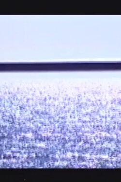 Iris (1994) Iris (1994)