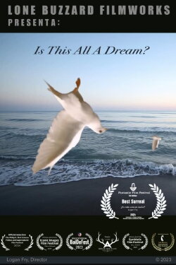 Is This All A Dream? (2024) Is This All A Dream? (2024)