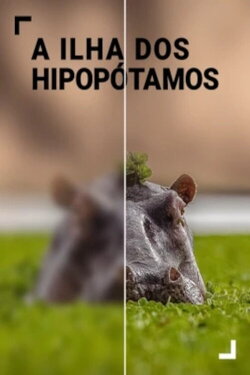 Island of the Hippos (2020) Island of the Hippos (2020)