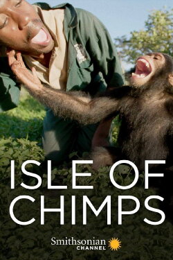 Isle of Chimps (2019) Isle of Chimps (2019)