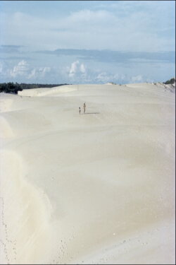 Itaúnas: Ecological Disaster (1979) Itaúnas: Ecological Disaster (1979)