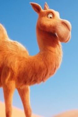 Itchy the Camel: Tennis Ball (2021) Itchy the Camel: Tennis Ball (2021)