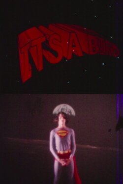 It's a Bird (1971)