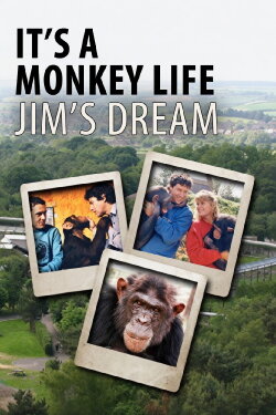 It's a Monkey Life: Jim's Dream (2017) It's a Monkey Life: Jim's Dream (2017)
