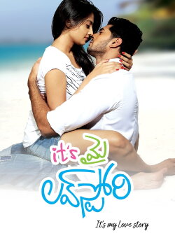 It's My Love Story (2011) It's My Love Story (2011)