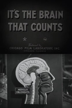 It's the Brain That Counts (1943)