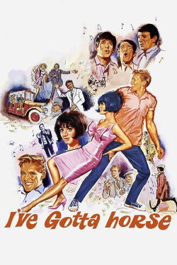 I've Gotta Horse (1965) I've Gotta Horse (1965)