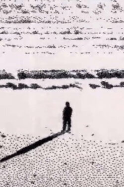 J. Balance (2015) J. Balance (2015)