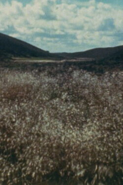 Ja, Ja. Drømmeland (1945) Ja, Ja. Drømmeland (1945)