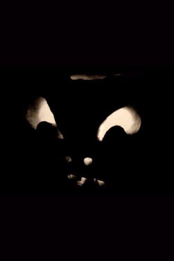Jack-O-Lanterns (1974)