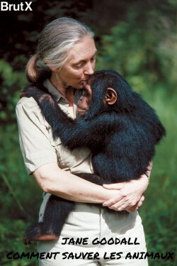 Jane Goodall : Comment sauver les animaux (2021) Jane Goodall : Comment sauver les animaux (2021)