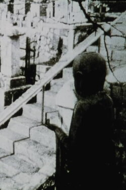 Jane's Window (2005)