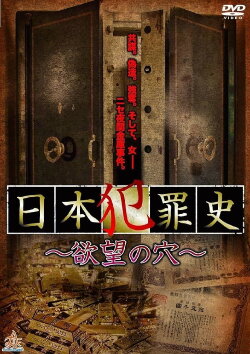 Japanese Criminal History - Hole of Desire (2013)