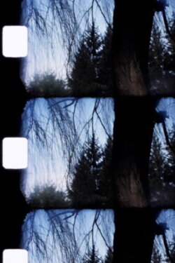 Jardin (1990)