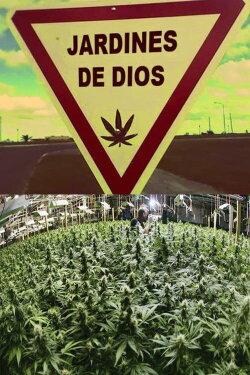 Jardines de Dios (2009) Jardines de Dios (2009)
