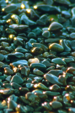 Jasper Beach and The Salt Marsh (2023) Jasper Beach and The Salt Marsh (2023)