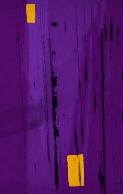 Jazzimation 2 (2017)