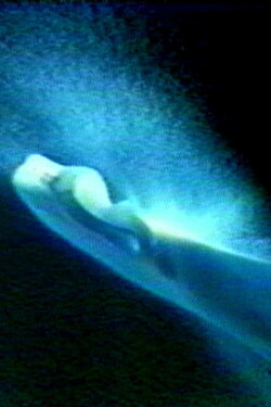 Jembe (1989) Jembe (1989)