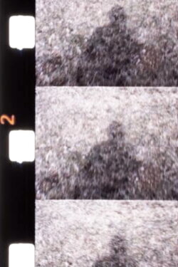 Jeux d'Ombres et de Neige dans une Forêt (1974) Jeux d'Ombres et de Neige dans une Forêt (1974)